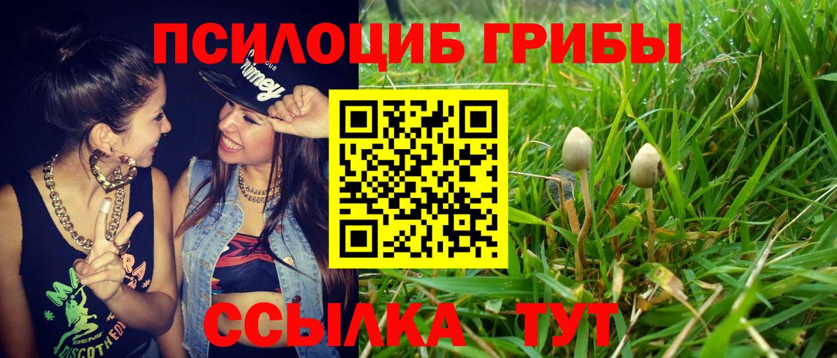 Галлюциногенные грибы прущие грибы  Вход с VPN  Выкса 